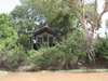 Selous Impala Camp - Nature